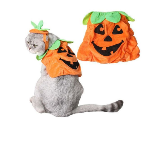 Pet Cat Halloween Costume