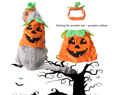 Pet Cat Halloween Costume