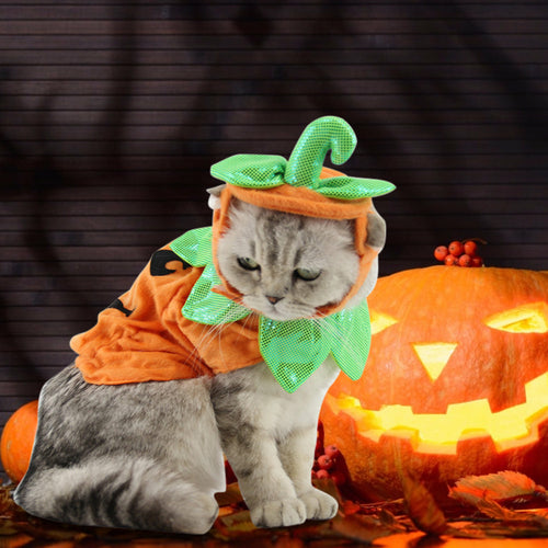 Pet Cat Halloween Costume