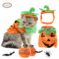 Pet Cat Halloween Costume