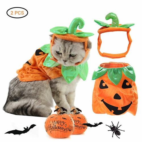 Pet Cat Halloween Costume