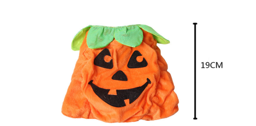 Pet Cat Halloween Costume