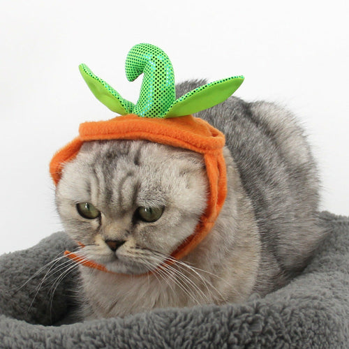 Pet Cat Halloween Costume