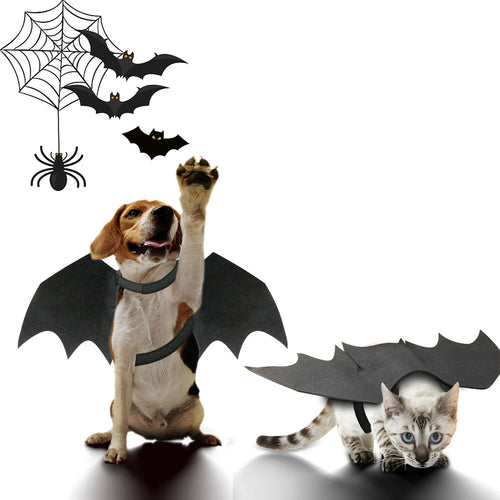 Bat Wings Halloween Costume Cat & Dogs